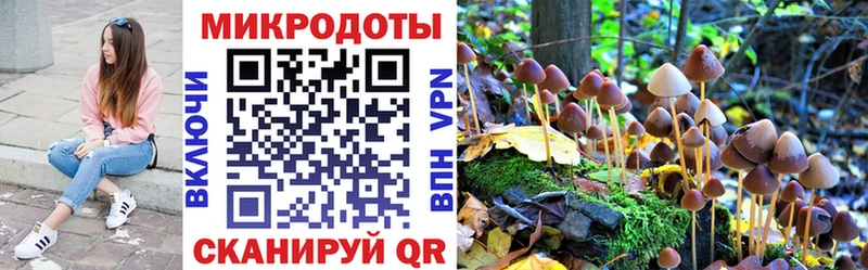 Купить закладки  Чегем  Галлюциногенные грибы прущие грибы